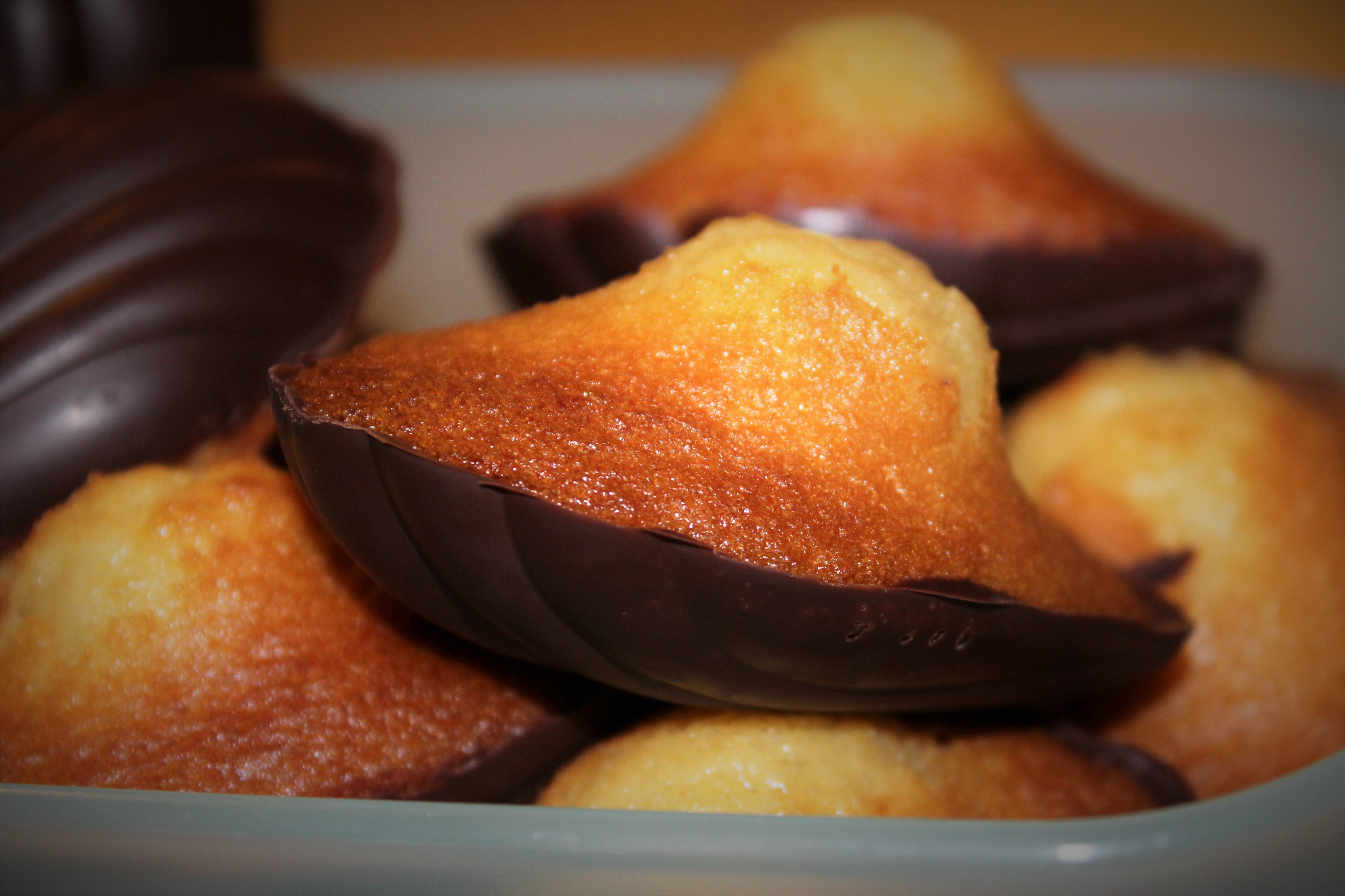 Madeleines Coque Chocolat