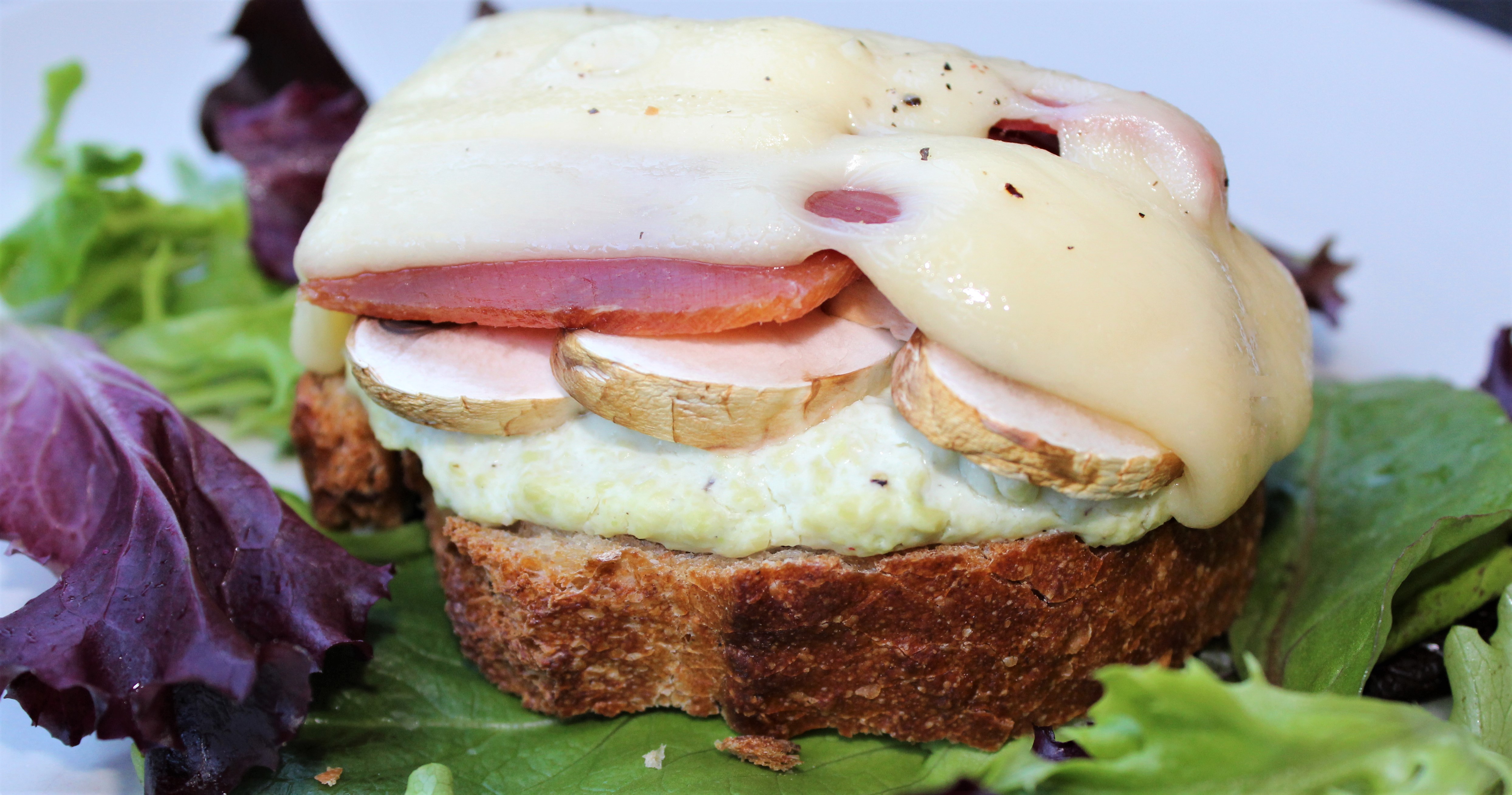 Bruschetta : Avocats, Champignons, Jambon de Pays et Gruyère