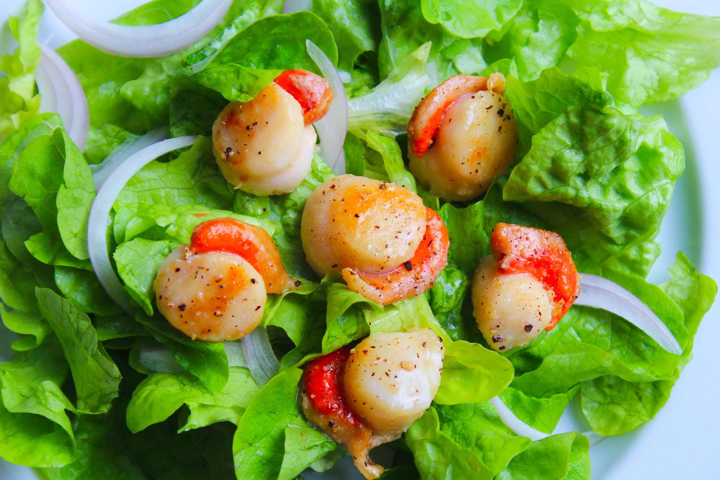 Salade de Noix de Saint Jacques Poêlées